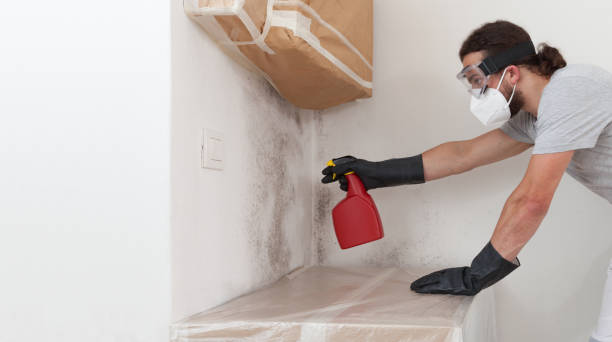 Professional Bathroom Mold Removal technician working in Brentwood, MD